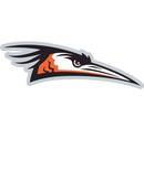 Delmarva Shorebirds