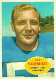 Joe Schmidt