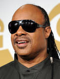 Stevie Wonder