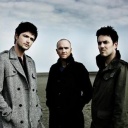 The Script