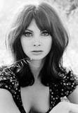 Toni Basil