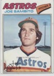 Joe Sambito