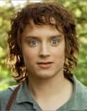 Elijah Wood