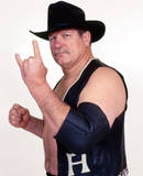 Stan Hansen