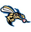 Sugar Land Skeeters