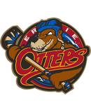 Erie Otters