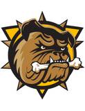 Hamilton Bulldogs