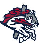 Binghamton Rumble Ponies