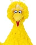 Big Bird