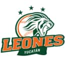 Leones de Yucatan