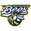 Burlington Bees