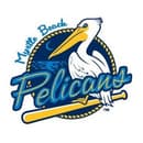 Myrtle Beach Pelicans