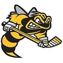 Sarnia Sting