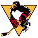 Wilkes-Barre Scranton Penguins