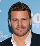 David Boreanaz