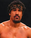 AR Fox