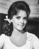 Dawn Wells