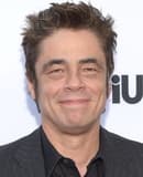 Benicio Del Toro