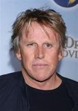 Gary Busey