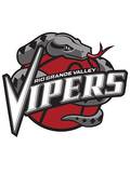 Rio Grande Valley Vipers