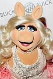 Miss Piggy