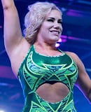 Taya Valkyrie