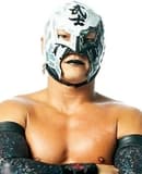 Bushi