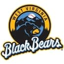 West Virginia Black Bears