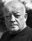 Tim Healy