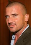 Dominic Purcell