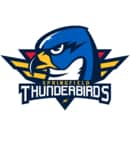 Springfield Thunderbirds