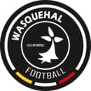 Wasquehal Football