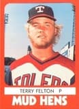 Terry Felton