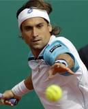 David Ferrer