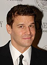 David Boreanaz