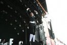 The Hives