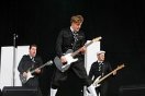 The Hives