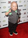 Verne Troyer