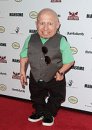 Verne Troyer