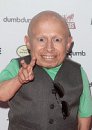 Verne Troyer