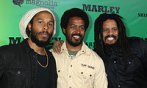 Ziggy Marley