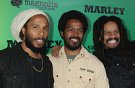 Ziggy Marley